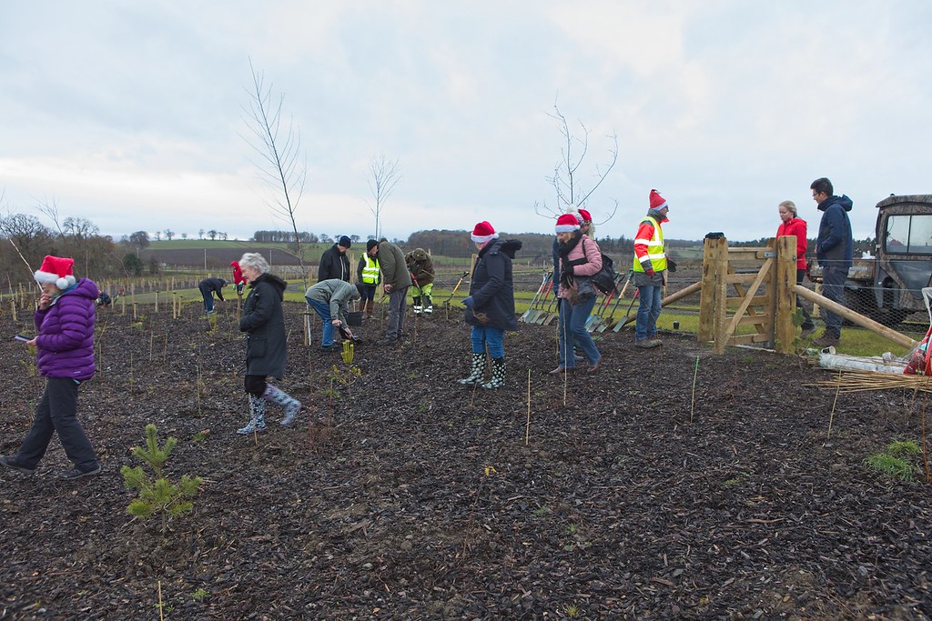 Tree planting event - Residents helping to plant trees in the community woodland